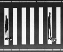 玩百家乐和彩票之对比