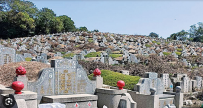 中 日 阿 葡 土 罗 希 瑞 英 意 法 波