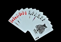 百家乐押庄闲的心得体会