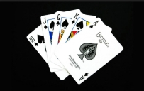 斗地主中的三十六计