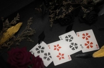 百家乐技巧三大买注法