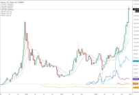 比特币、稳定币和DeFi：2020年表现最好的加密资产