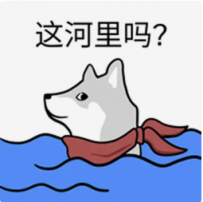 玩老虎机的经验之谈