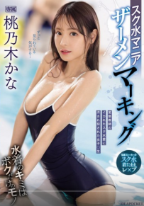 德乙 捷甲 德甲 英超 英冠